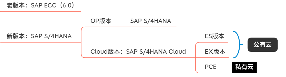 SAP S/4HANA不同版本