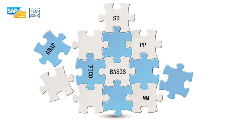 SAP BASIS